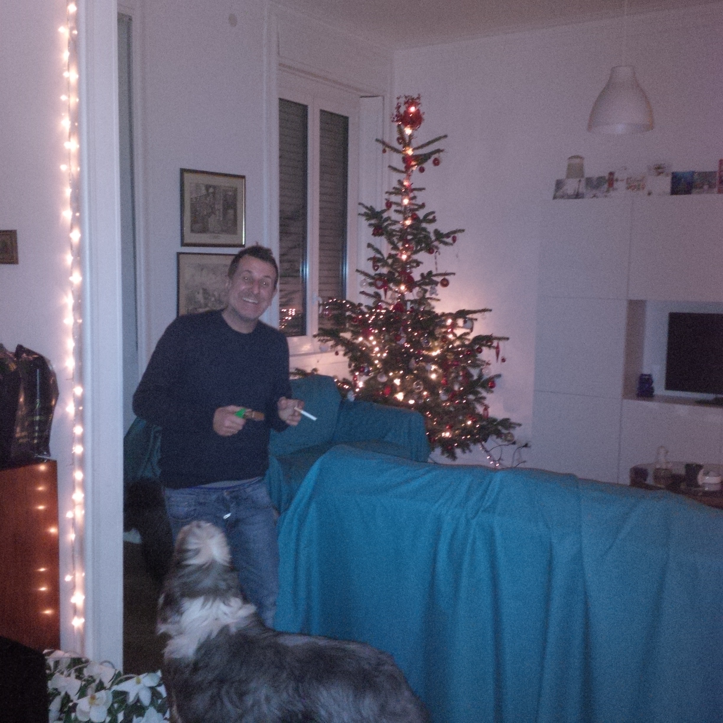 The Xmas tree, F and the dogs